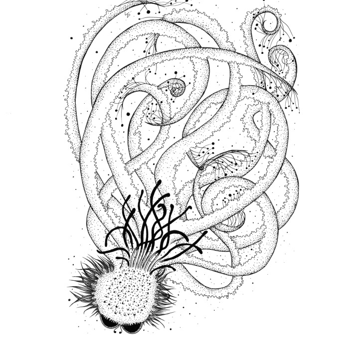 I Create Monsters From Animals Forms