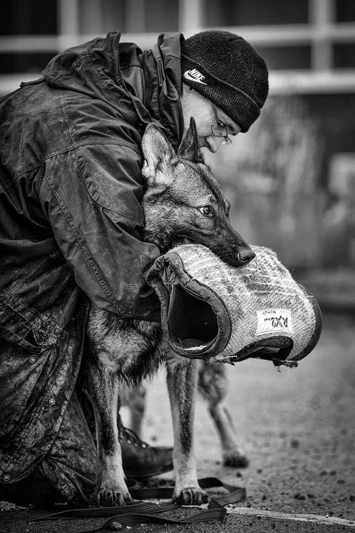 Dogs At Work 3rd Place Winner Ian Squire, United Kingdom