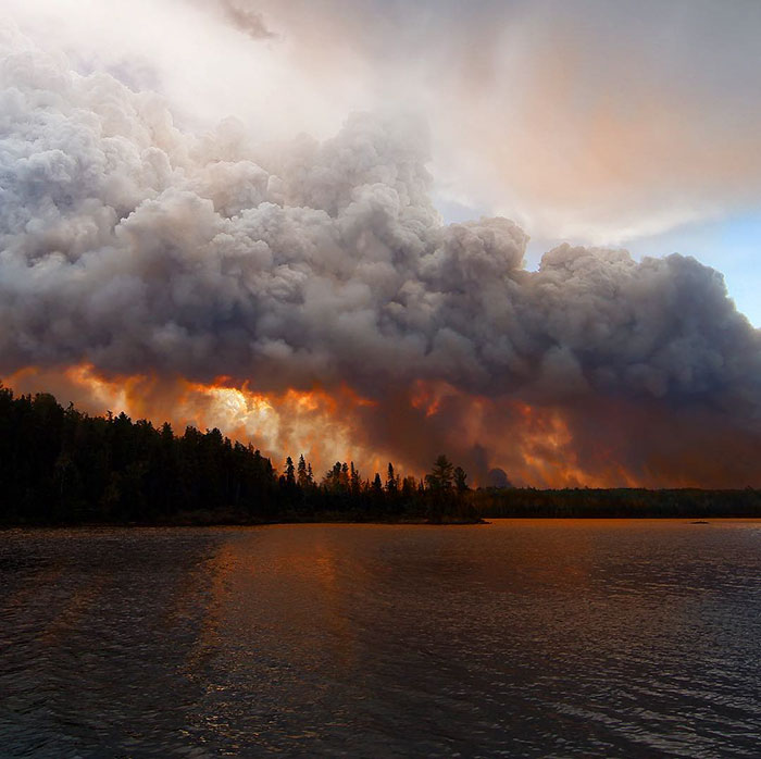Europe Unites To Help Sweden Conquer Terrible Forest Fires, And That's The Friendship We Need