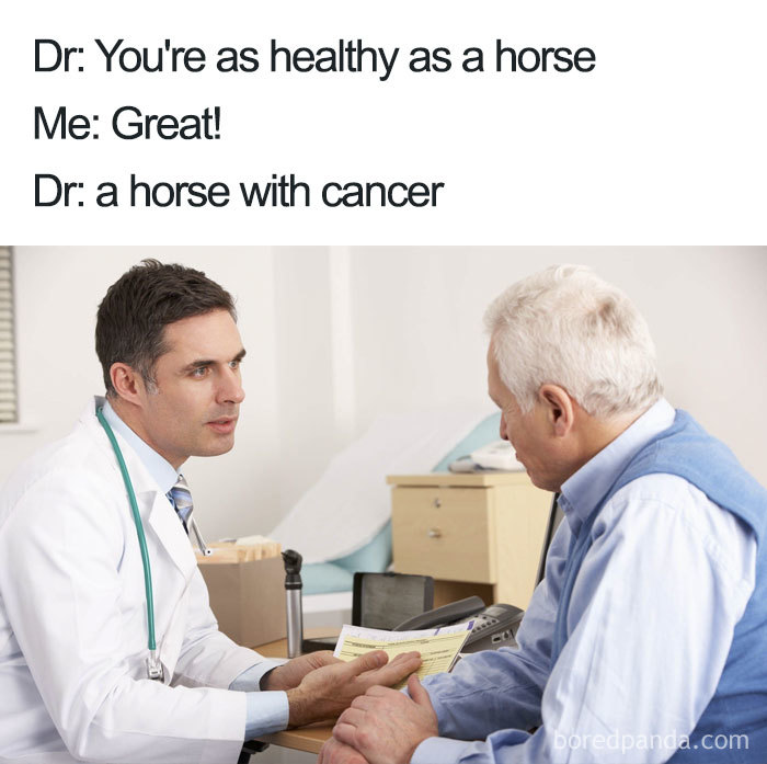 Healthy As A Horse