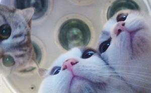 These 25+ Doctor Memes Are The Best Medicine If You Need A Laugh (WARNING: Some Are Really Dark)