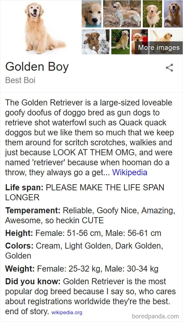 Golden Boy
