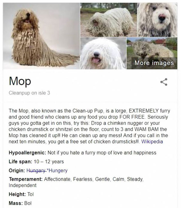 Mop