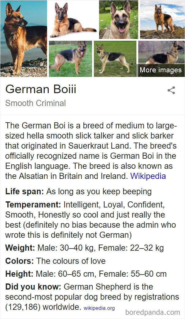 German Boiii