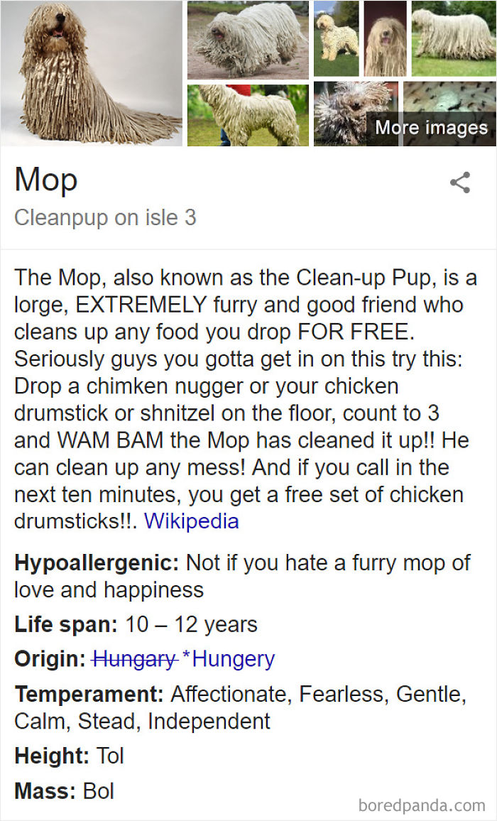 Mop