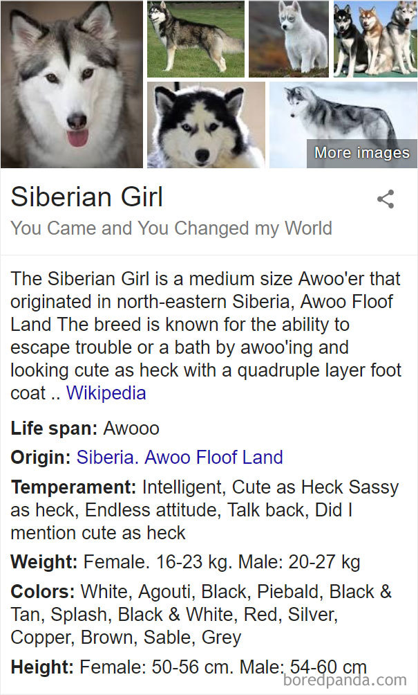 Siberian Girl