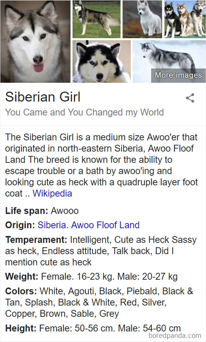 Siberian Girl