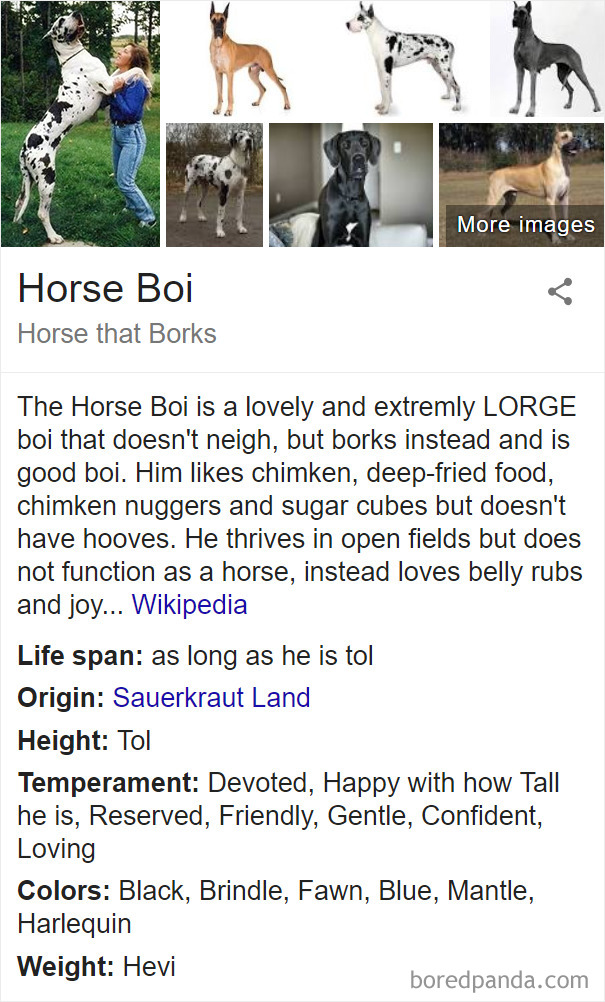 Horse Boi