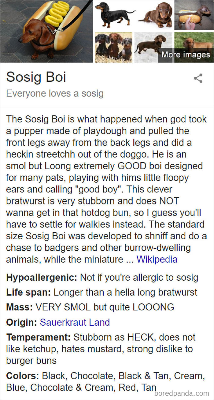 Sosig Boi