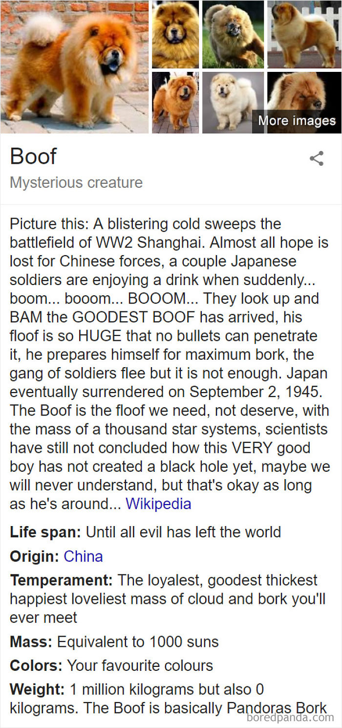 Boof