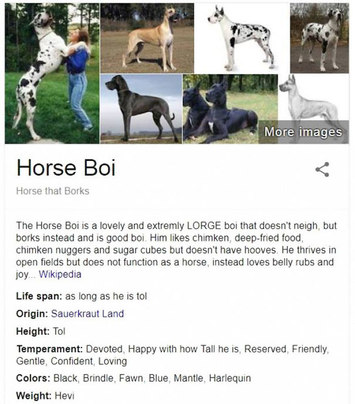 Horse Boi
