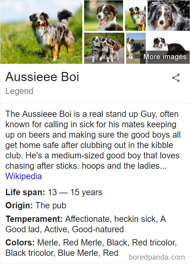 Aussieee Boi