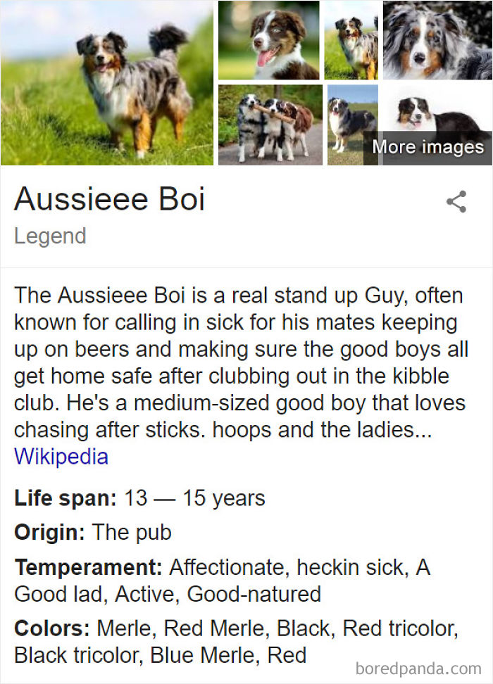 Aussieee Boi