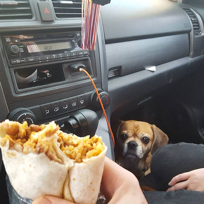 Um, You're Going To Give Me Some Of That, Right?