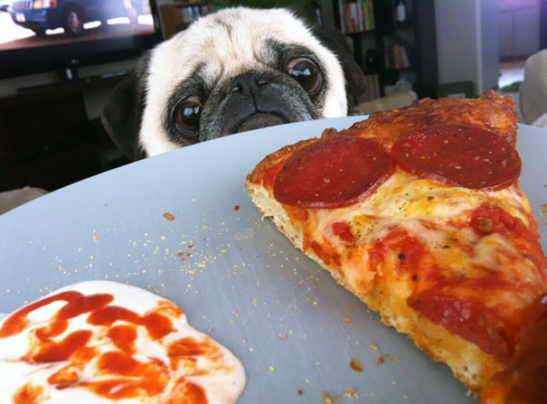 Pizza Please?