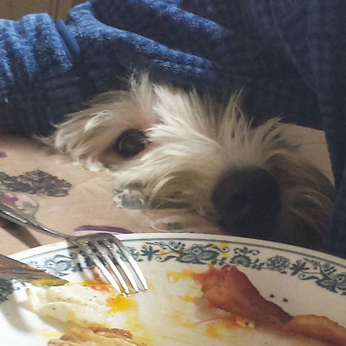 Oliver's Breakfast Routine