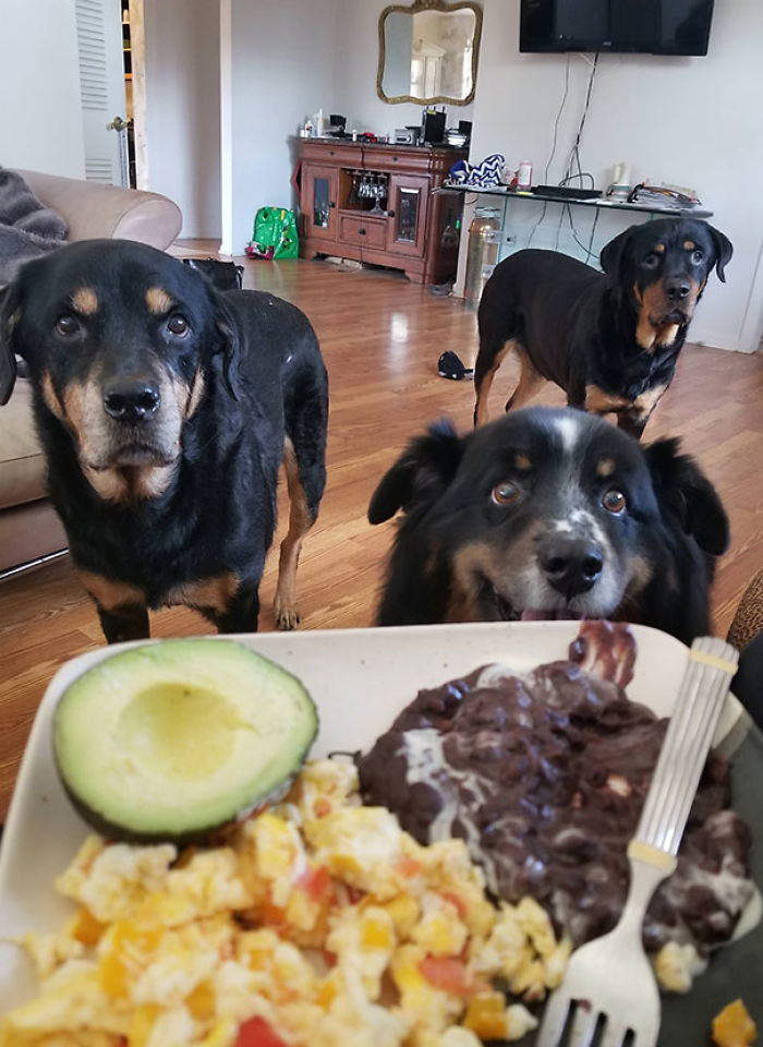 Can Never Escape These Starving Children