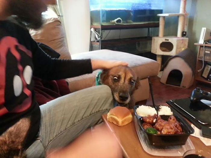 Eyes On The Prize