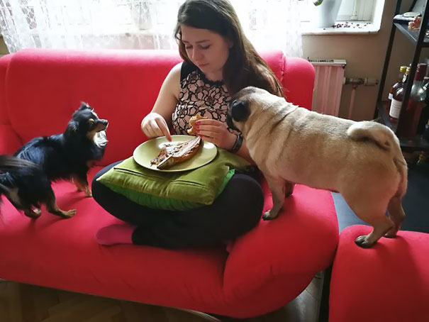Watching Other People Eat Is Rude, So They Just Stare At Each Other