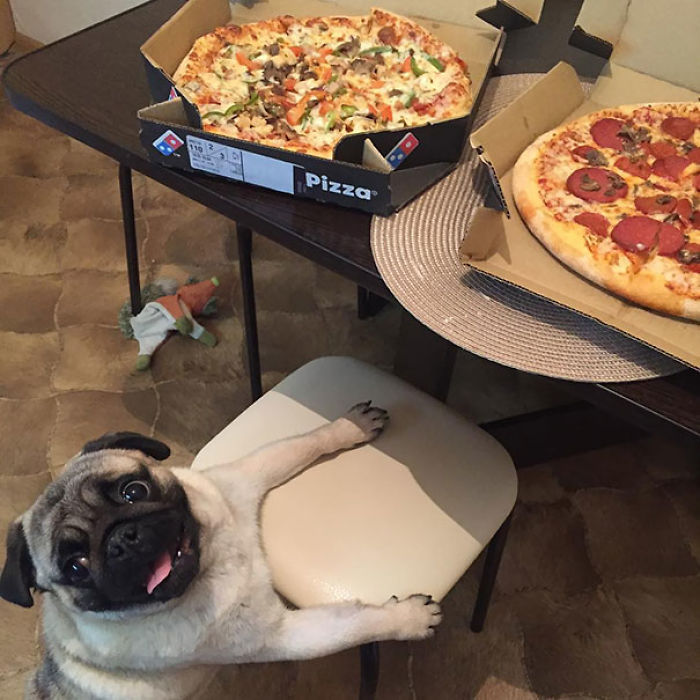 Please, Human, Say This One Is For Me