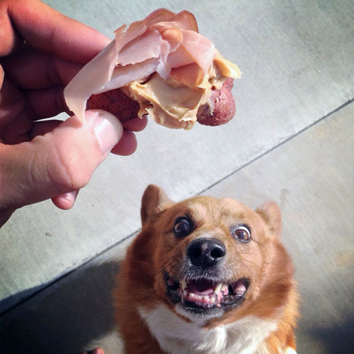 This Is How I Spoil This Guy