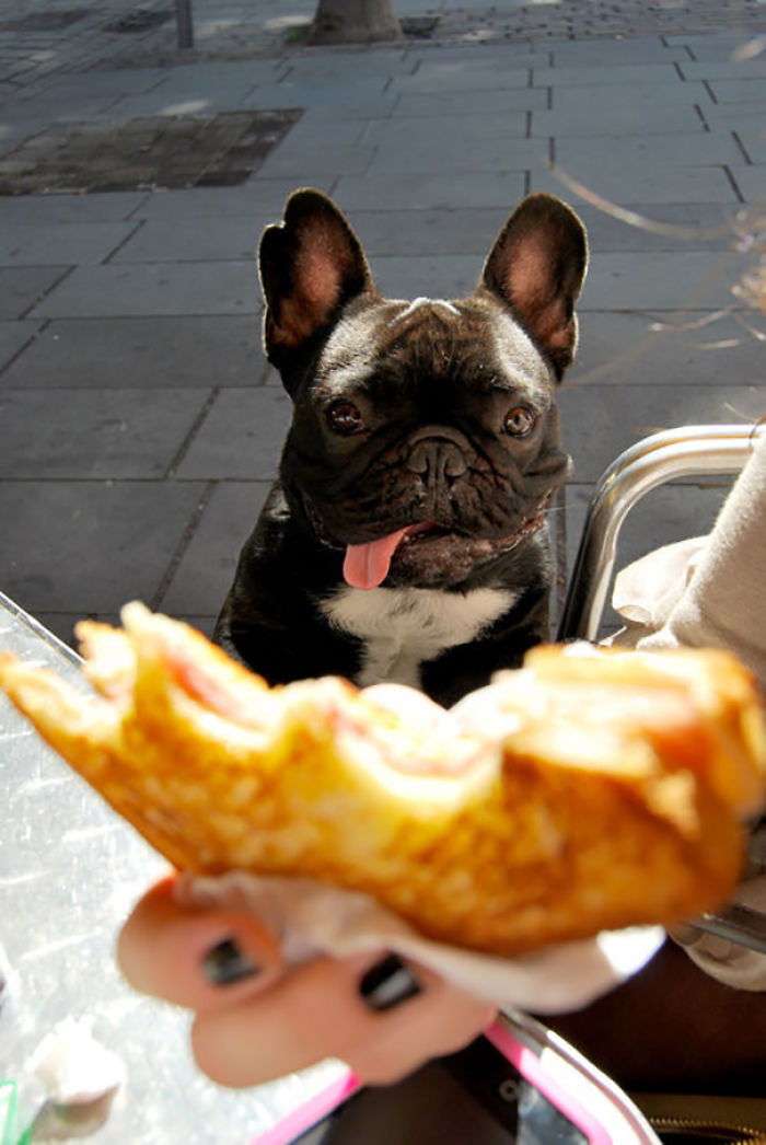 I'm Hungry, I Swear
