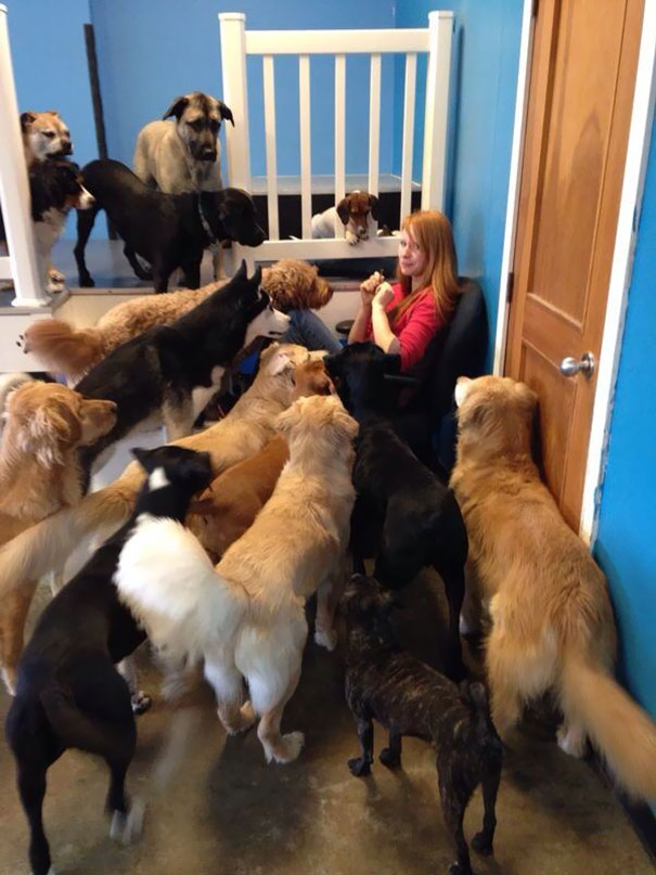 This Is What Happens When You Try To Eat Beef Jerky In A Dog Daycare