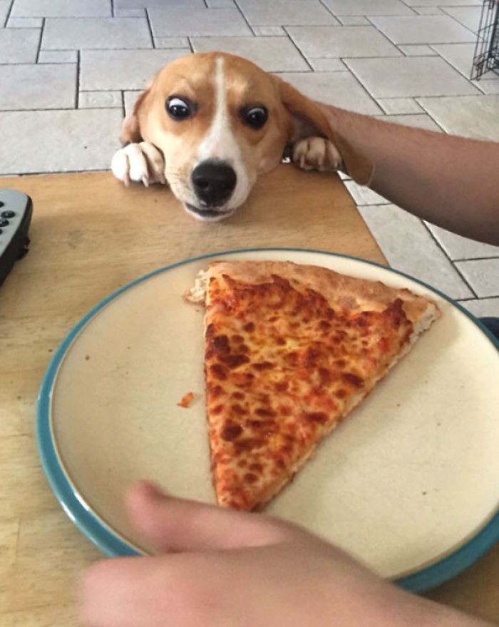 I'm Guessing She Wants Some Pizza