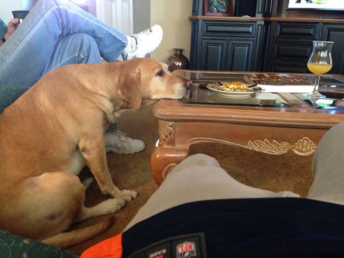 She Keeps Inching Closer To My Food Thinking I Won't Notice