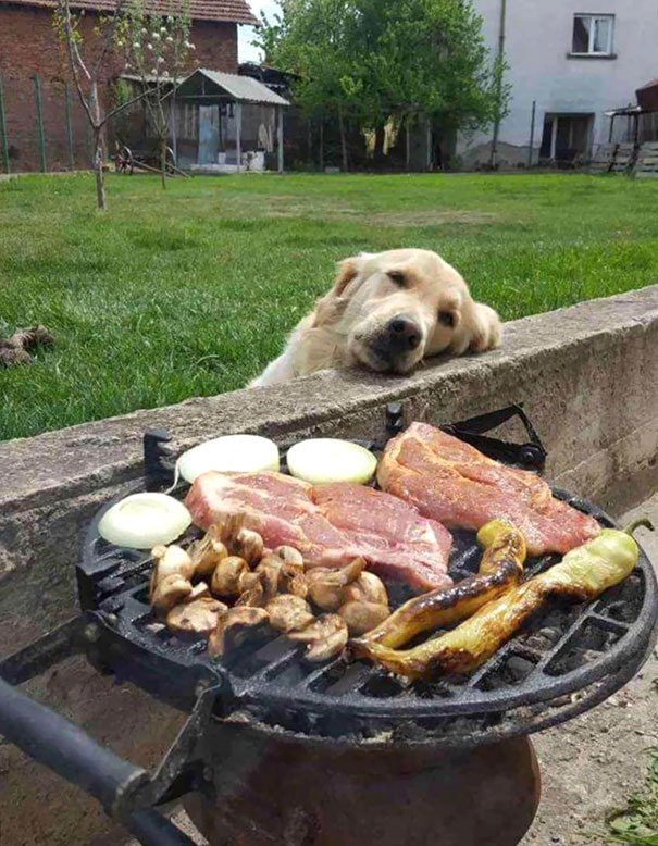 Day Dreaming In Front Of The BBQ