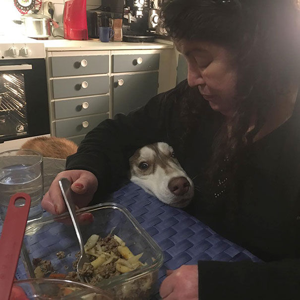Hi Grandma, Can I Try Some Delicious Pasta With Meat, Please?