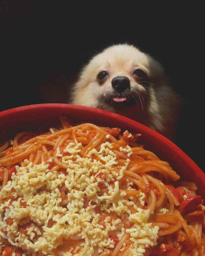 Quiere espaguetis