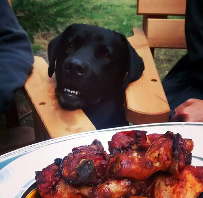 Feed Me, Human