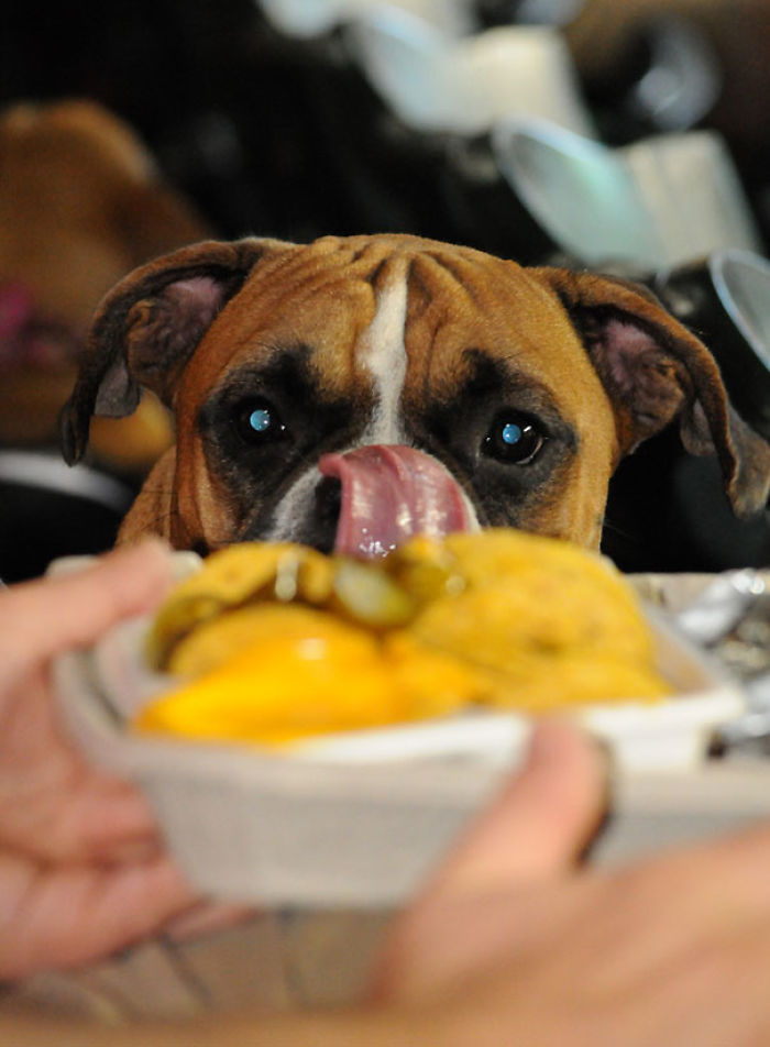 Yummy, I Want This