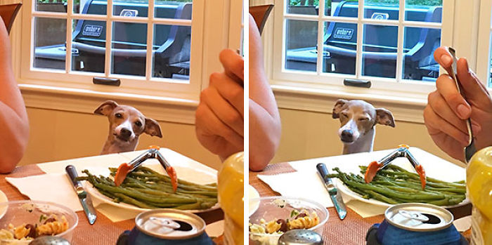 When You Really Want The Asparagus But No One Is Listening