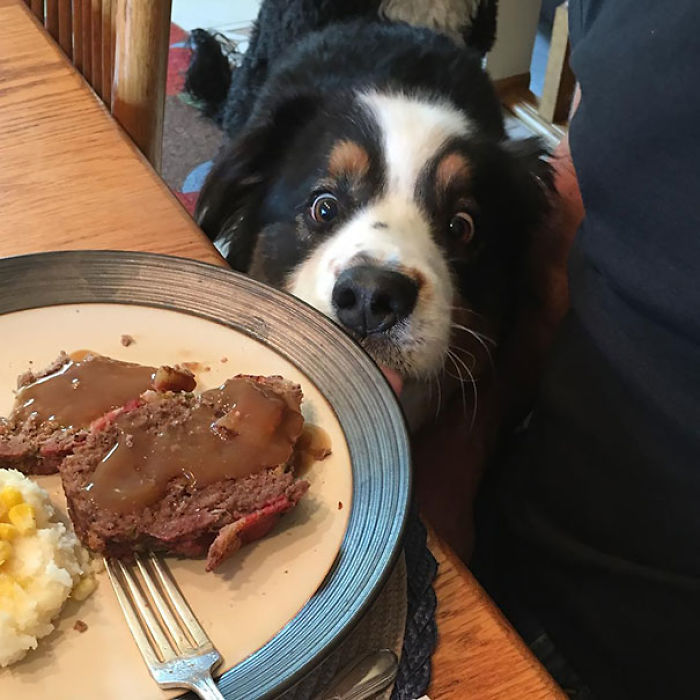 With One Quick Move I Can Have That Mouthwatering Meatloaf In My Mouth