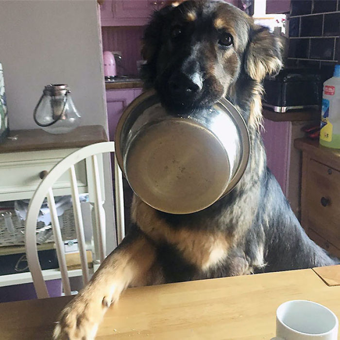 Please, May I Have?