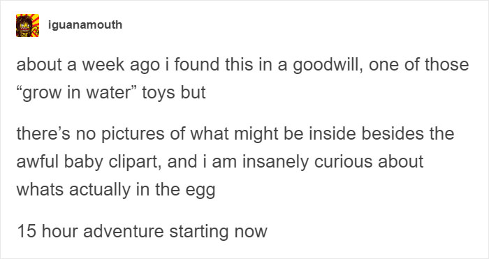Someone Finds Old "Grow In Water" Egg At Goodwill And Puts It In Water, Regrets It 23 Hours Later