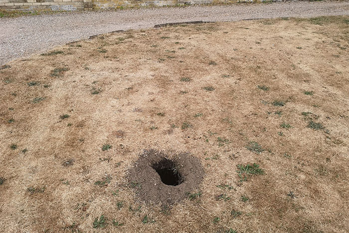 Pidió ayuda en internet para identificar un agujero que apareció en su jardín, y ahora seguro que desearía no haberlo hecho