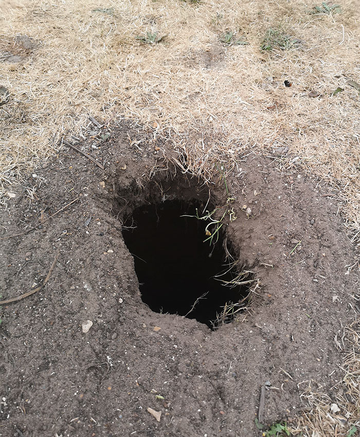 Pidió ayuda en internet para identificar un agujero que apareció en su jardín, y ahora seguro que desearía no haberlo hecho