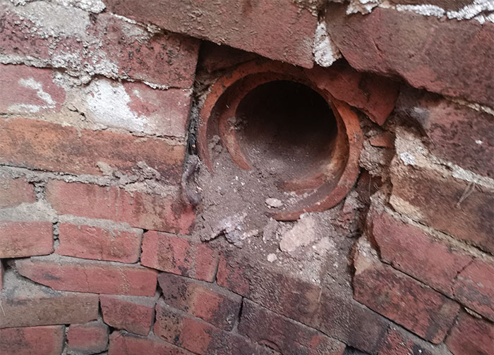 Guy Asks The Internet To Help Identify A Hole That Appeared In His Garden, Probably Wishes He Didn't