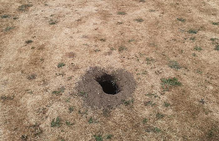 Guy Asks The Internet To Help Identify A Hole That Appeared In His Garden, Probably Wishes He Didn’t