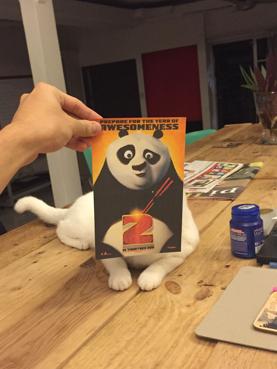 Photographer Follows Cats Around To "Insert" Them Behind Famous Movie Posters