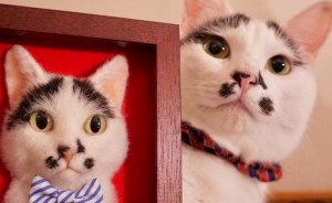 Japanese Artist Makes Realistic 3D Cat Portraits Out Of Felted Wool, And The Result Is Too Purrfect