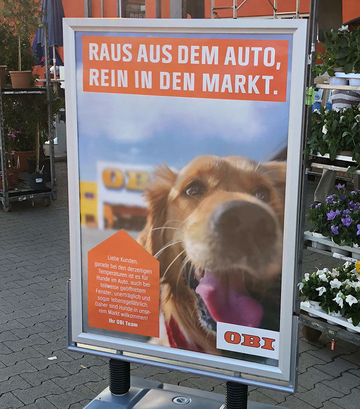 This German Hardware Store Asking Dog Owners To Bring Their Dogs Inside Because It’s Too Hot In The Cars
