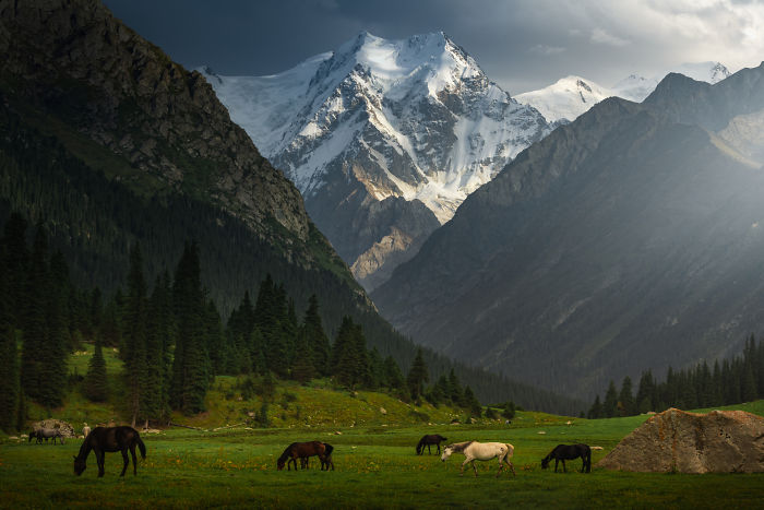 Un valle verde con caballos salvajes y una vista sobre el pico Yeltsin: así es Kirguistán