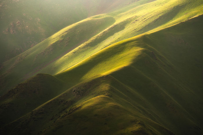 Una foto íntima de una colina verde