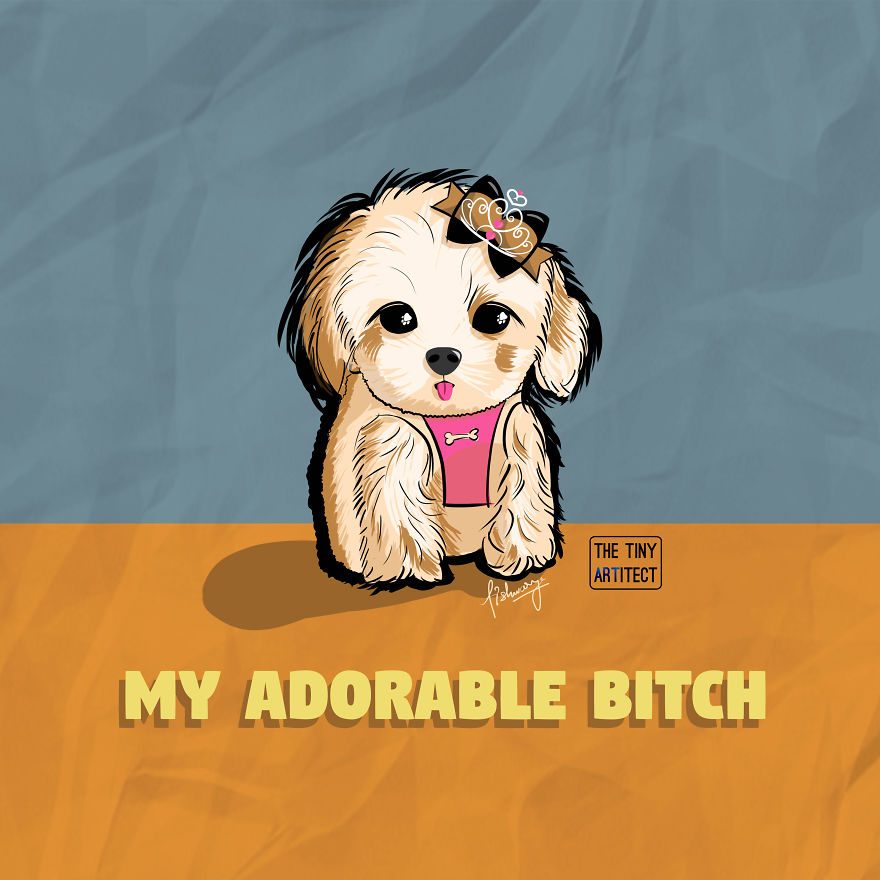 These Cute And Naughty Animals Have Some Relation To Your Everyday Slang!