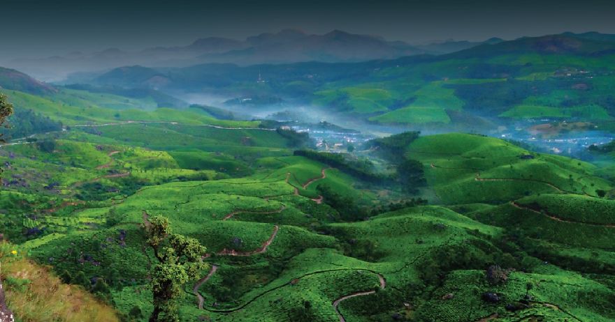5 Popular Tourist Places To Visit Near Mount Serene Munnar Resort In Kerala With Family 5 Popular Tourist Places To Visit Near Mount Serene Munnar Resort In Kerala With Family
