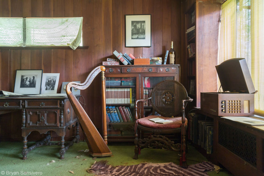 Zebra Rug, Harp, Old Photographs And Medical Library